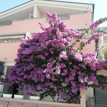 Galic Apartment *